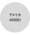 アメリカ 40000t