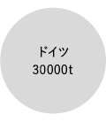 ドイツ 30000t