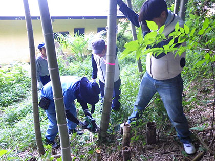 外来種の駆除による里山等保全事業（湘南工場）